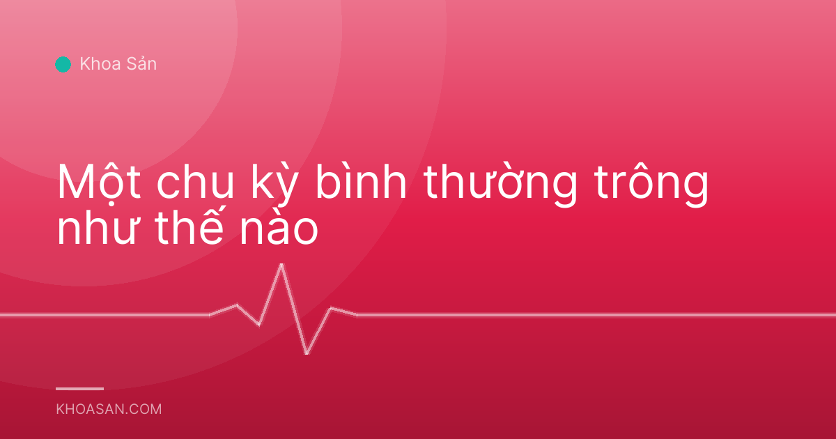 Một chu kỳ bình thường trông như thế nào
