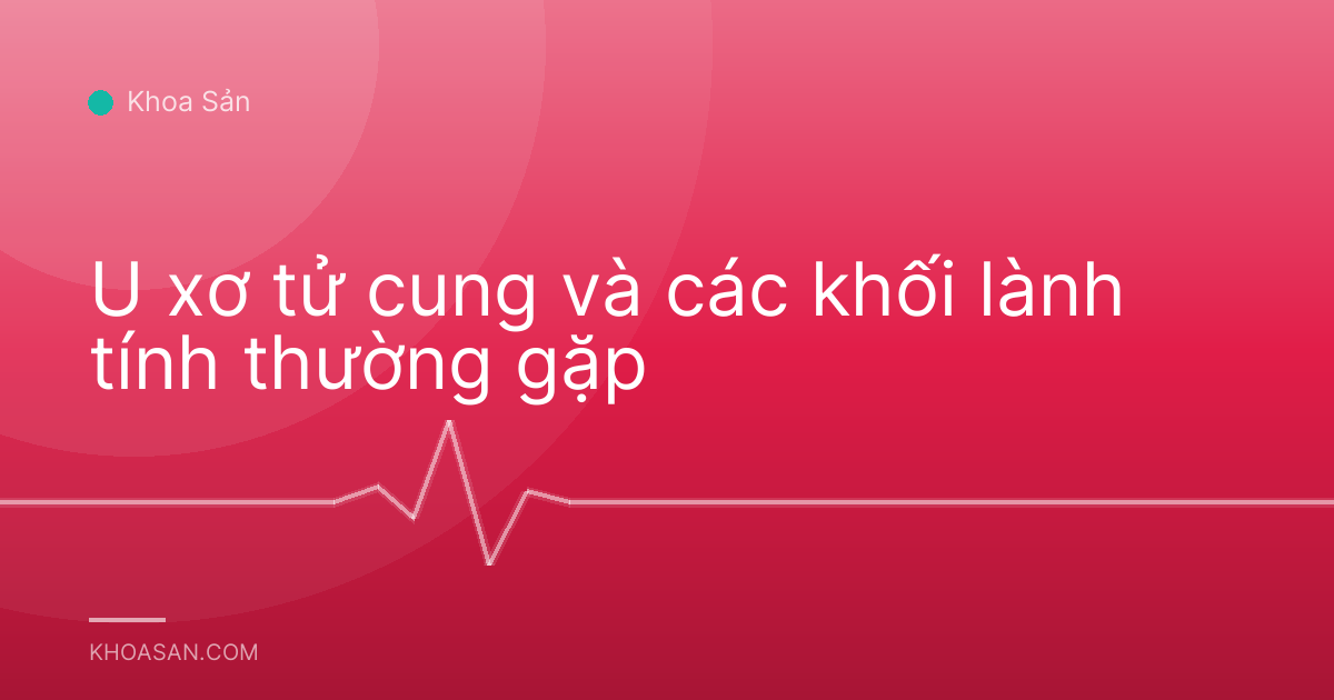 U xơ tử cung và các khối lành tính thường gặp